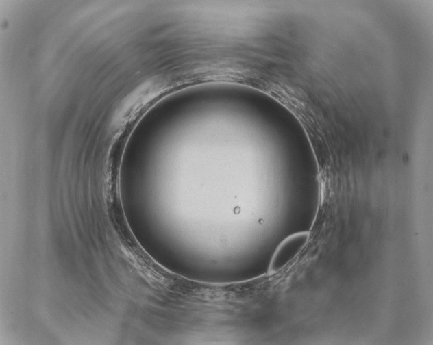 X0000088430339200705221252