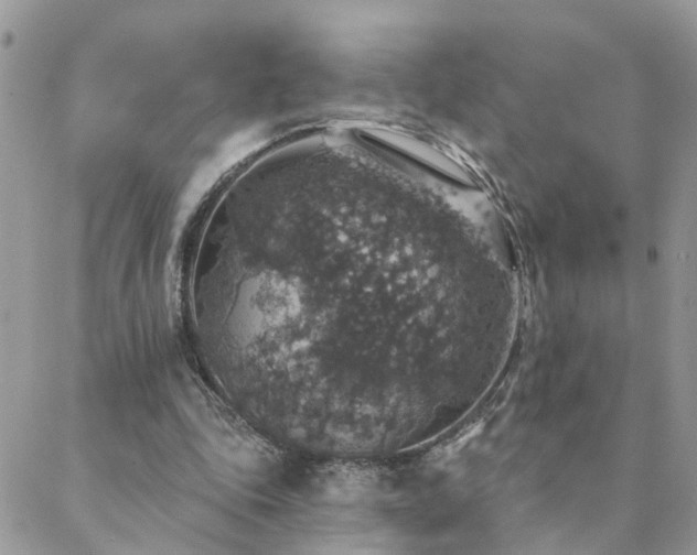 X0000088430343200705221253