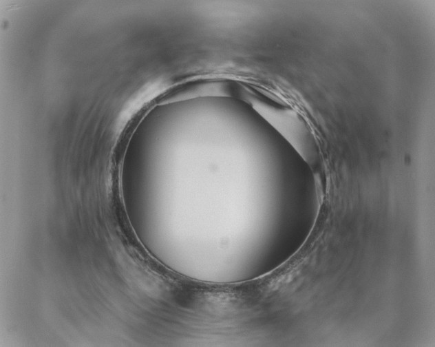 X0000088430344200705221253