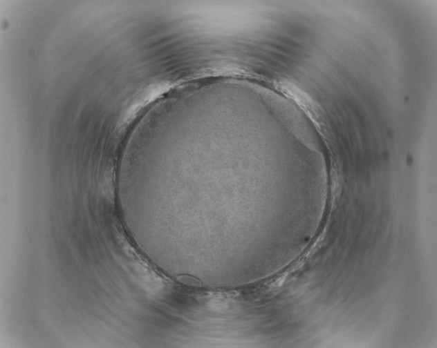 X0000088430345200705221253