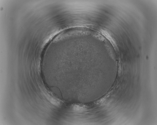 X0000088430346200705221253