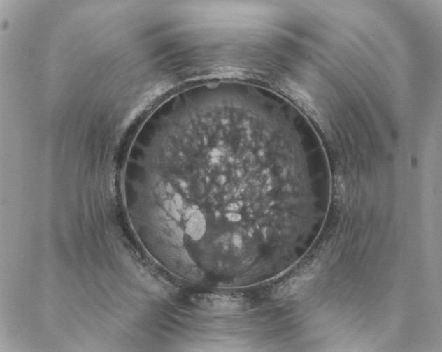 X0000088430347200705221253