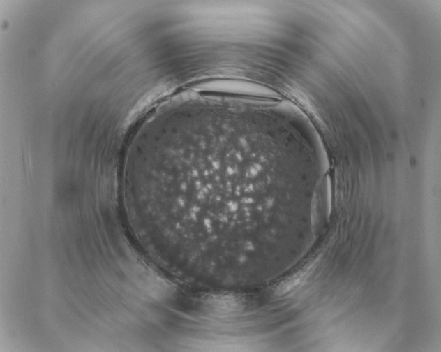 X0000088430349200705221253