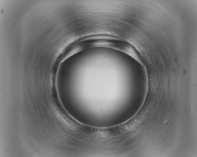 X0000088430350200705221253