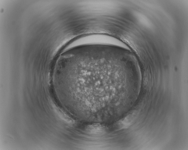 X0000088430351200705221253