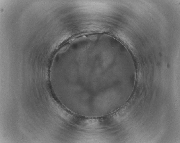 X0000088430353200705221253