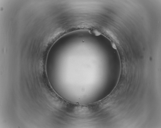 X0000088430354200705221253