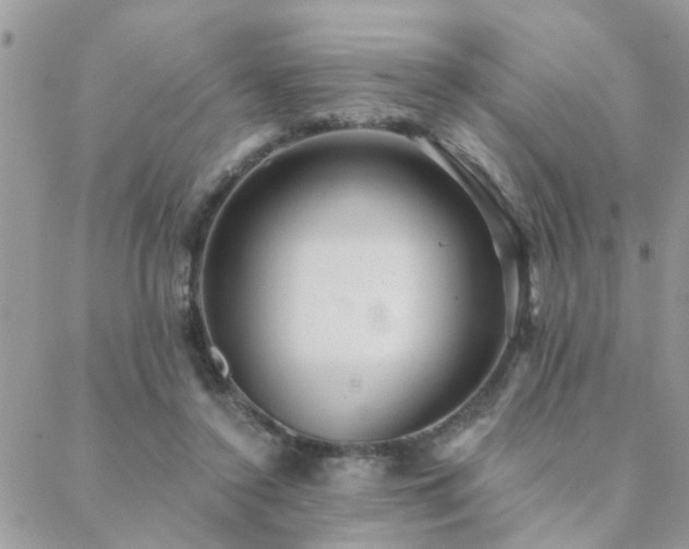 X0000088430356200705221253