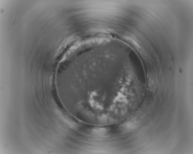 X0000088430357200705221253