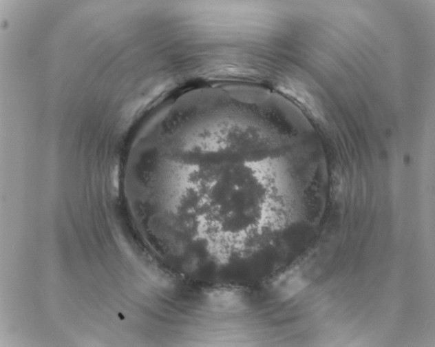 X0000088430358200705221253