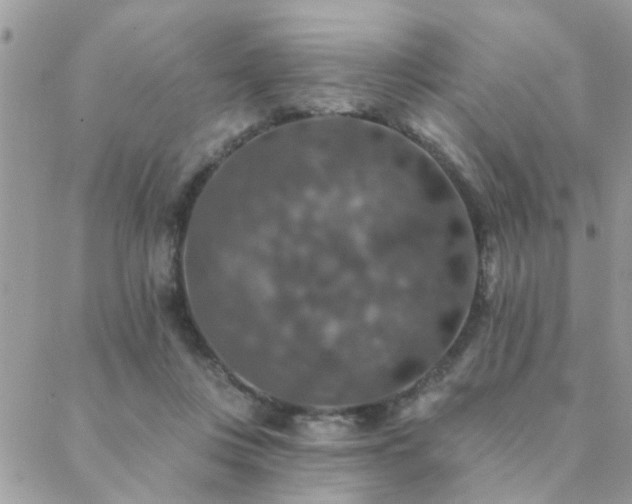 X0000088430359200705221253