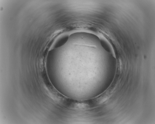 X0000088430360200705221253