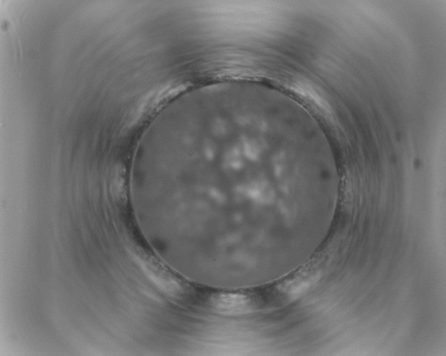 X0000088430361200705221253