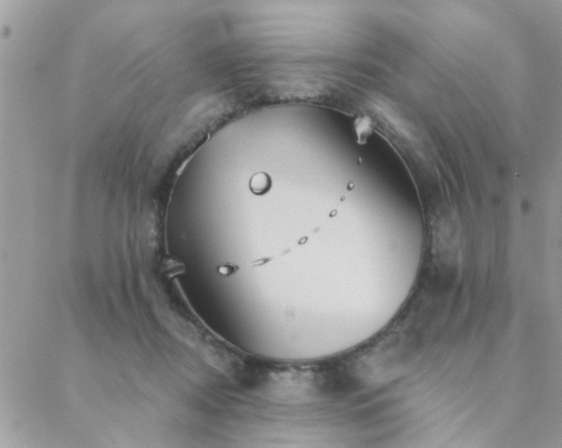 X0000088430362200705221253