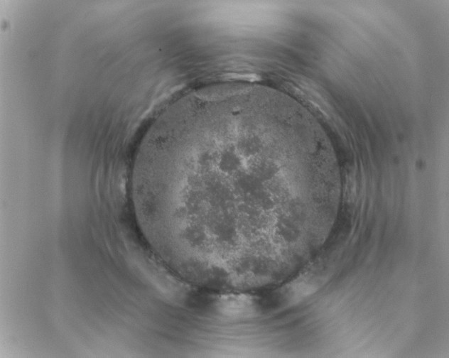 X0000088430363200705221253