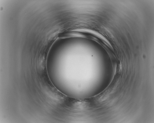 X0000088430364200705221253