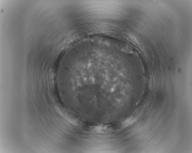 X0000088430366200705221253