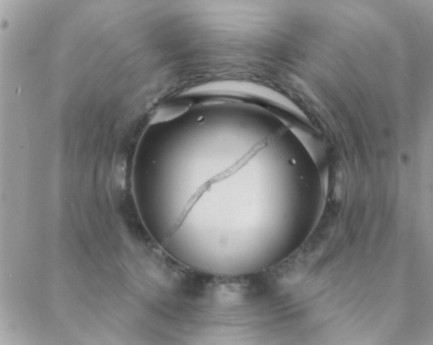 X0000088430368200705221253