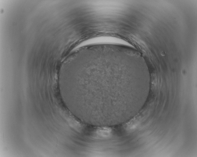 X0000088430369200705221253