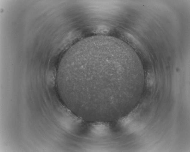 X0000088430370200705221253