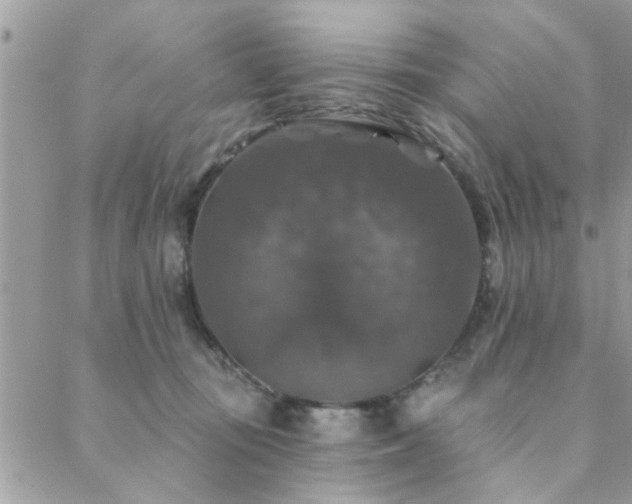 X0000088430371200705221253