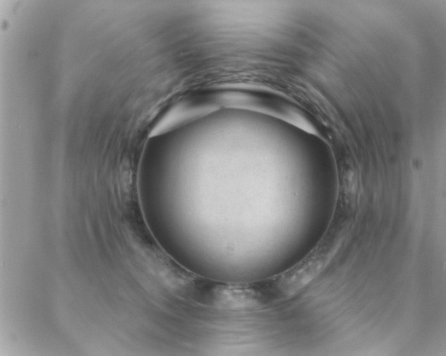 X0000088430372200705221253