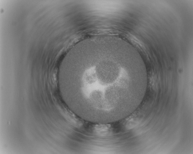 X0000088430373200705221253