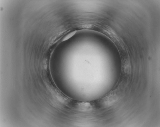 X0000088430374200705221253