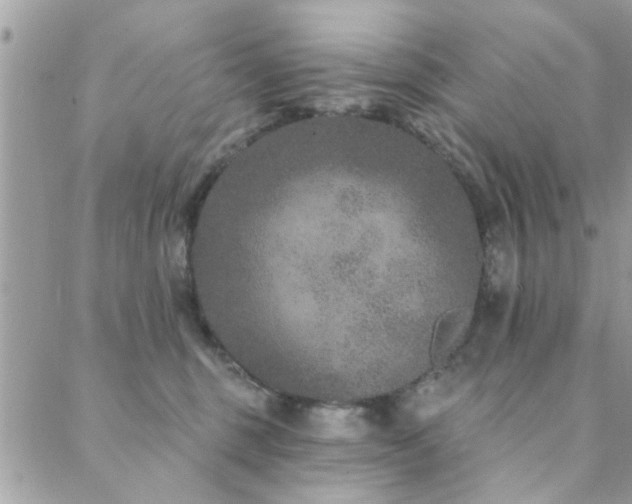 X0000088430375200705221253