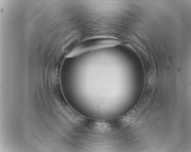 X0000088430376200705221253