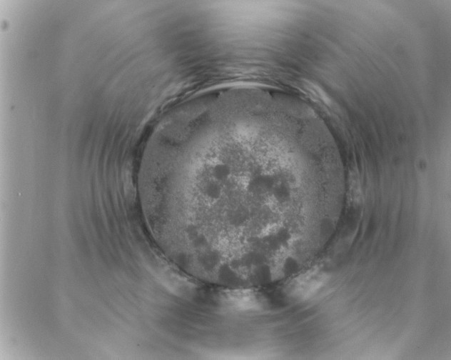 X0000088430377200705221253