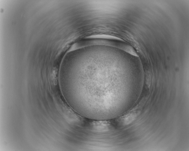 X0000088430378200705221253