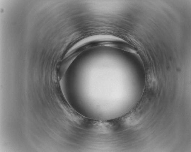 X0000088430379200705221253