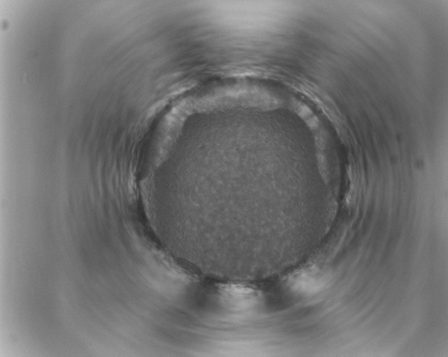 X0000088430380200705221253