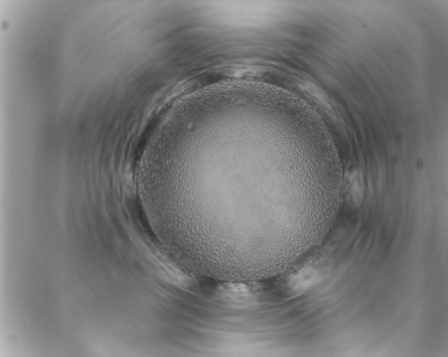 X0000088430381200705221253