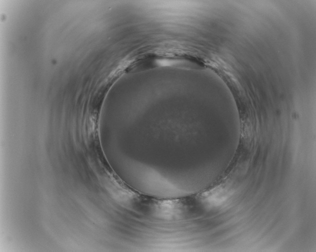 X0000088430382200705221253