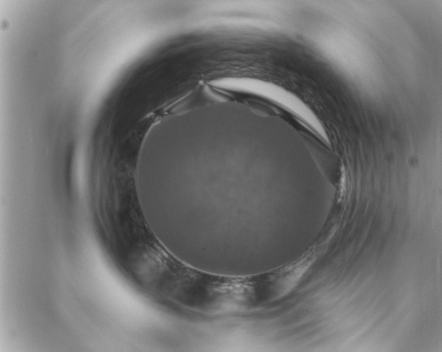 X0000088430383200705221253