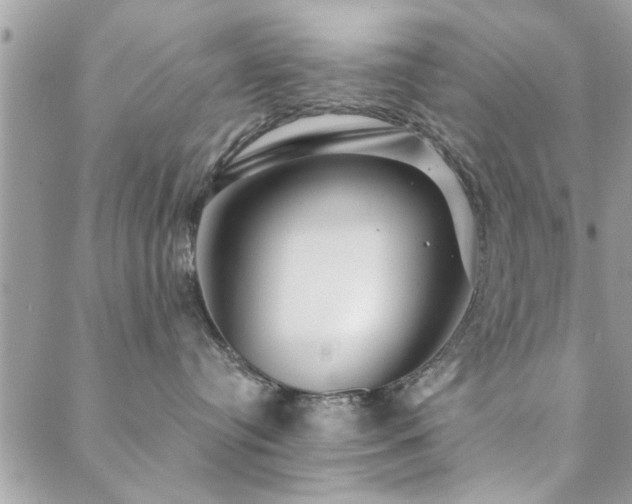 X0000088430384200705221253