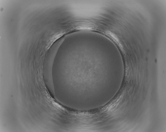 X0000088430385200705221252