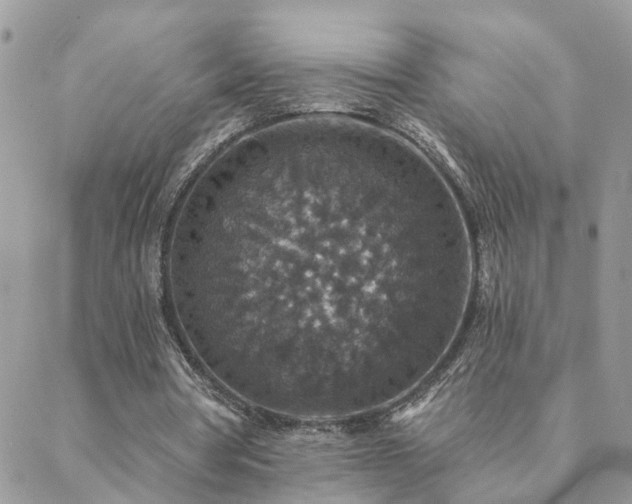 X0000088430386200705221252