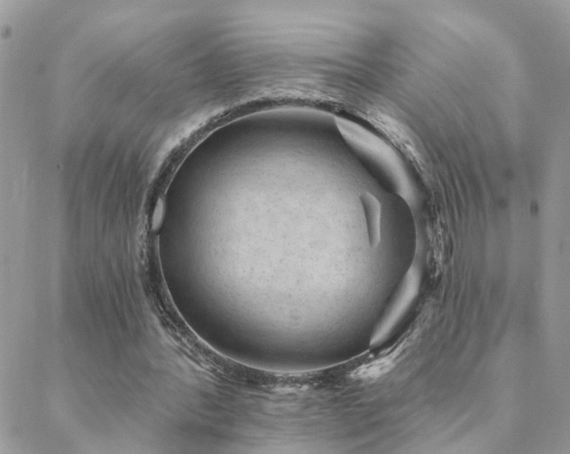 X0000088430388200705221252