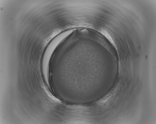 X0000088430389200705221252