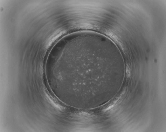 X0000088430390200705221252