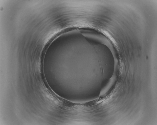 X0000088430391200705221252