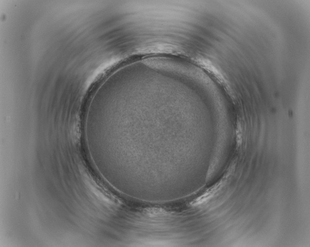 X0000088430392200705221252