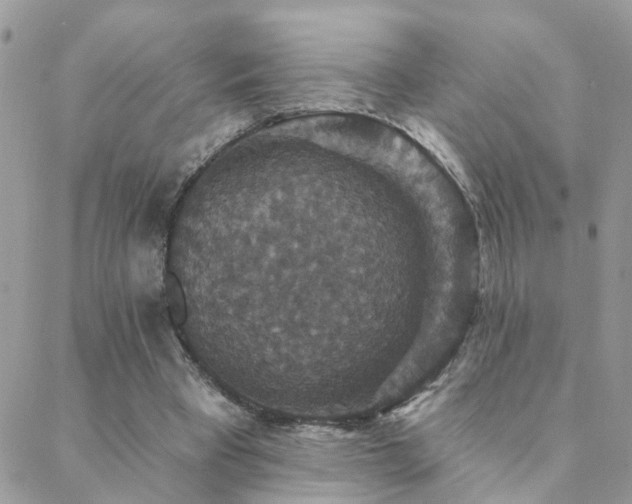 X0000088430393200705221252