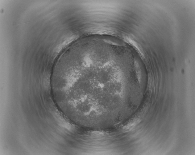 X0000088430394200705221252