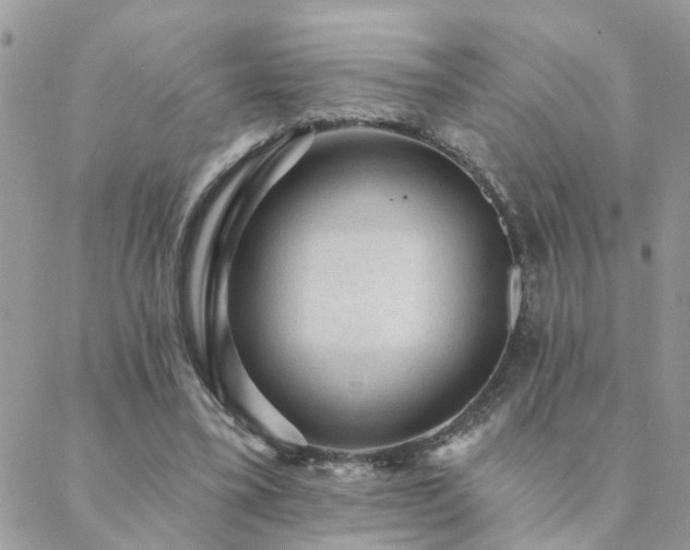 X0000088430395200705221252