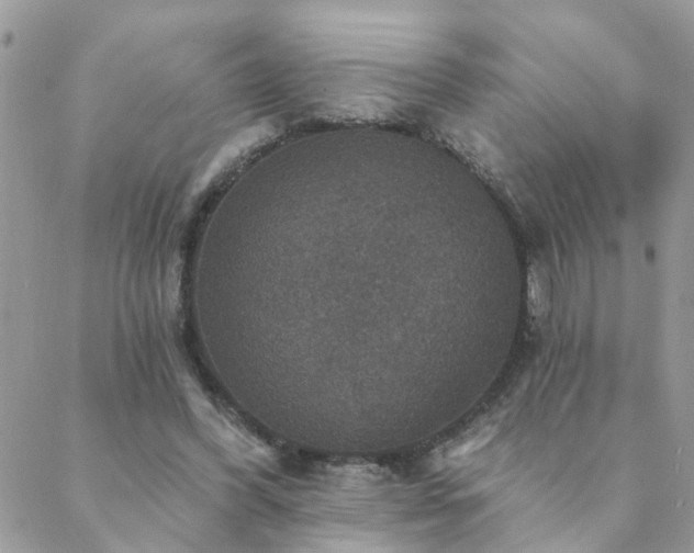 X0000088430396200705221252