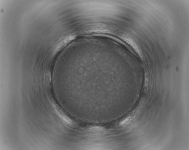 X0000088430397200705221252